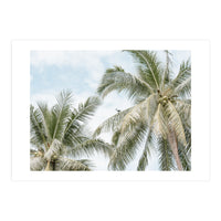 Palm trees (Print Only)