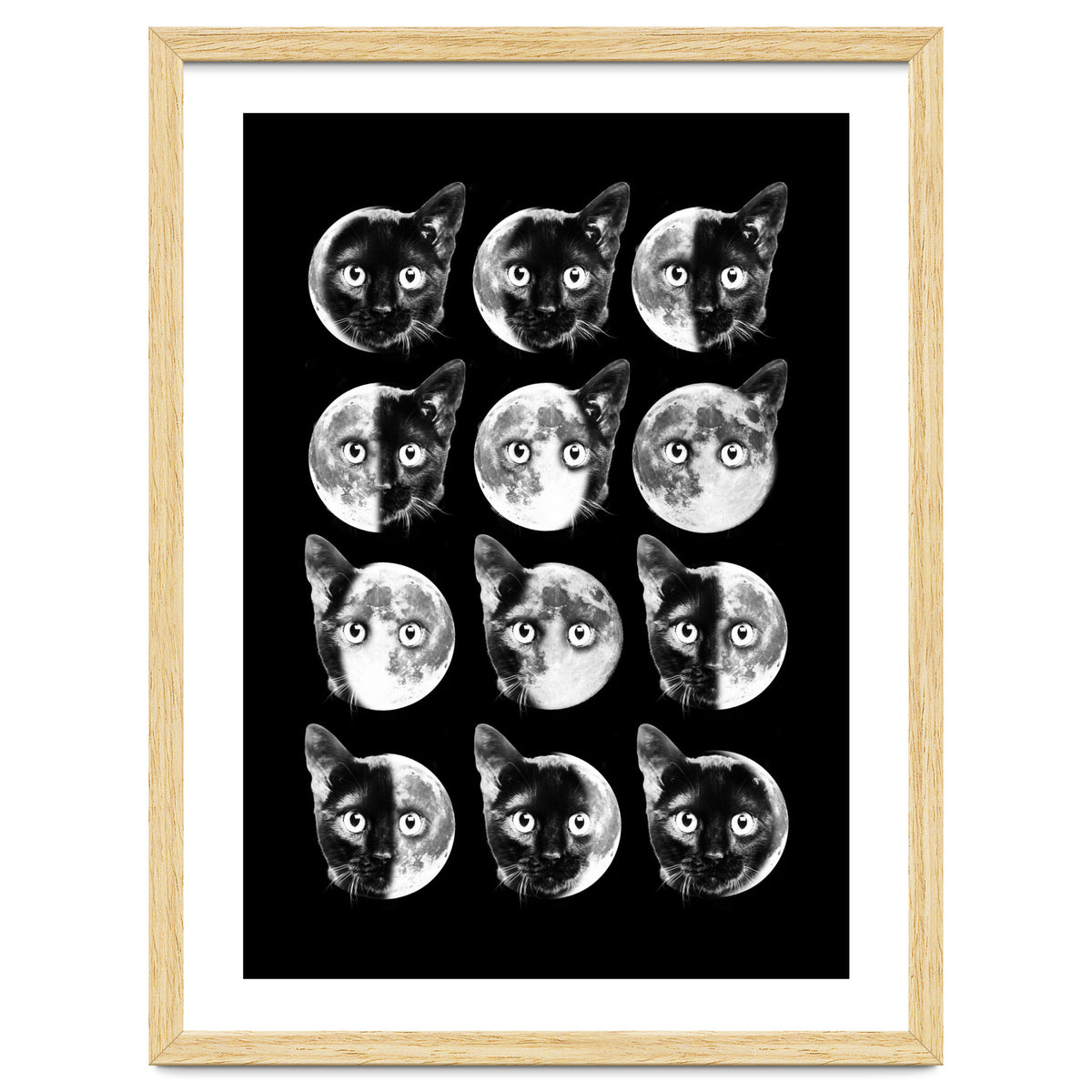 Cat Moon Phases
