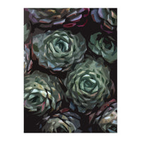 Succulent Plant Ii (Print Only)