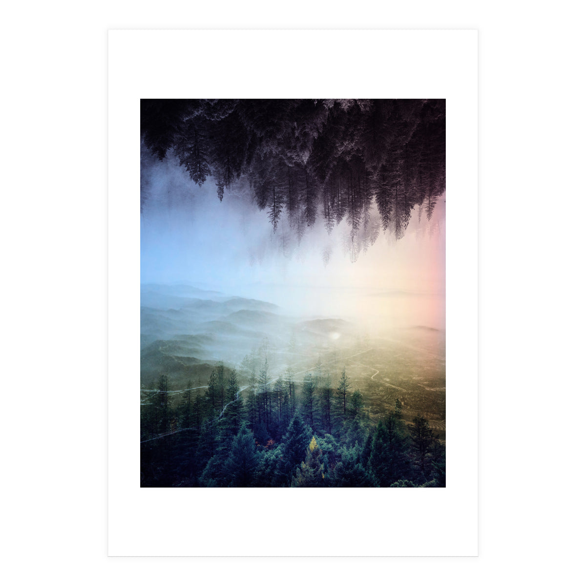 Magic Woods (Print Only)
