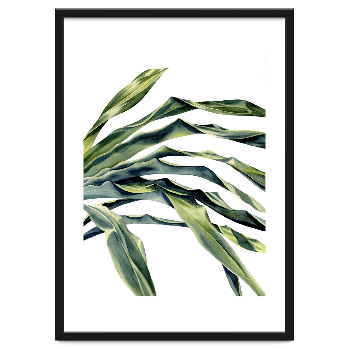 Green Palm Leaves