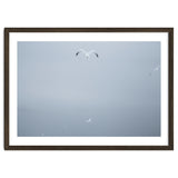 A flying seagull in the winter sky thumbnail