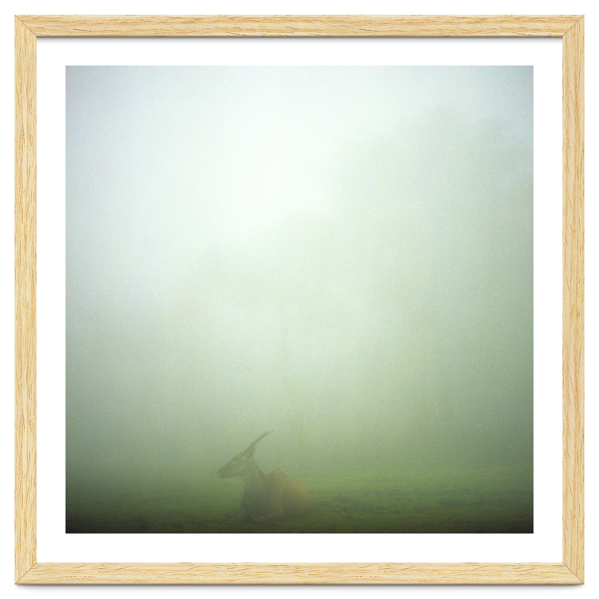 Silence of breath - 06