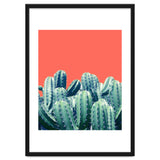 Cactus On Coral thumbnail
