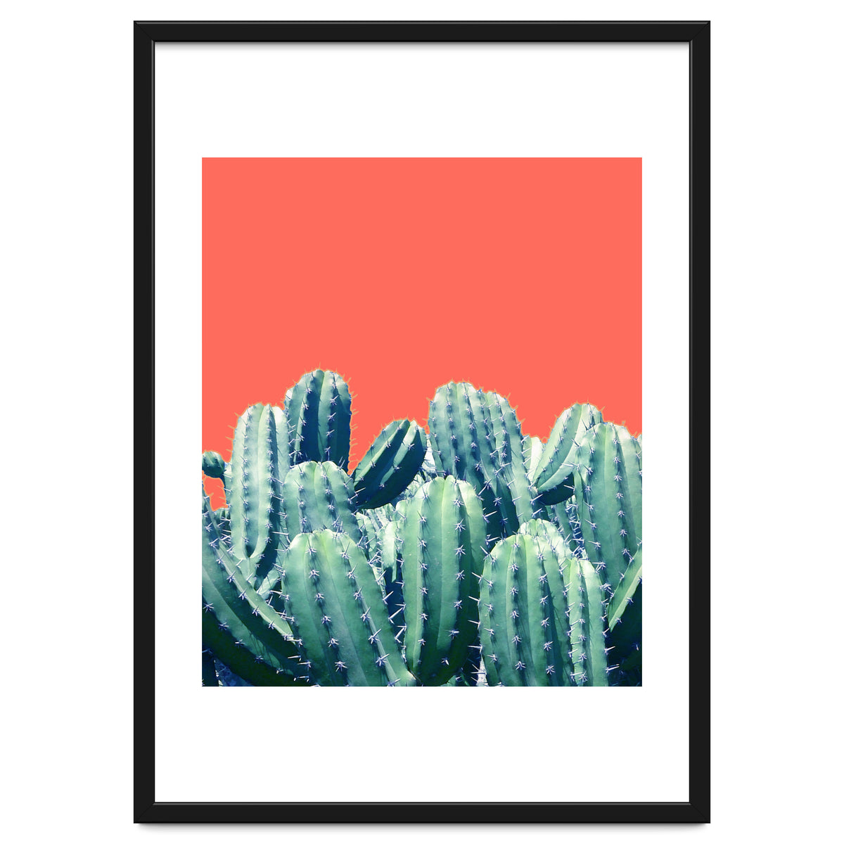 Cactus On Coral