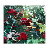 Berries (Print Only) thumbnail