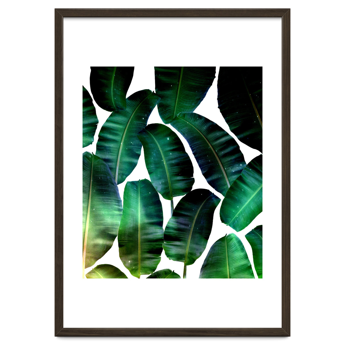 Cosmic Banana Leaves