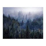 The Visionary Echo (Print Only) thumbnail