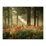 The poppy forest (Print Only) thumbnail