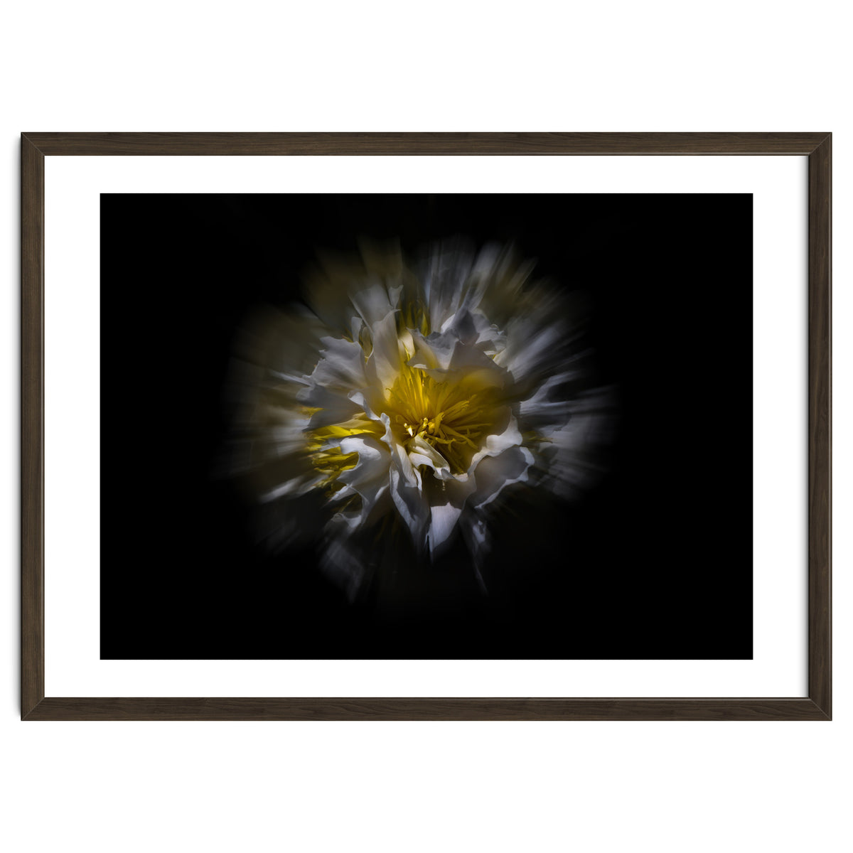 Backyard Flowers No 25 Color Flow Version