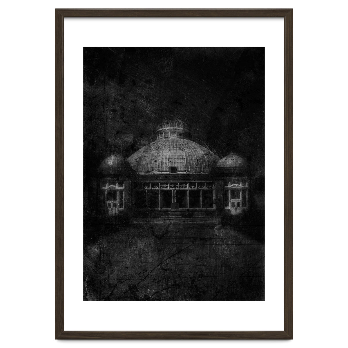 Allan Gardens Conservatory Palm House No 3 Old Film Version