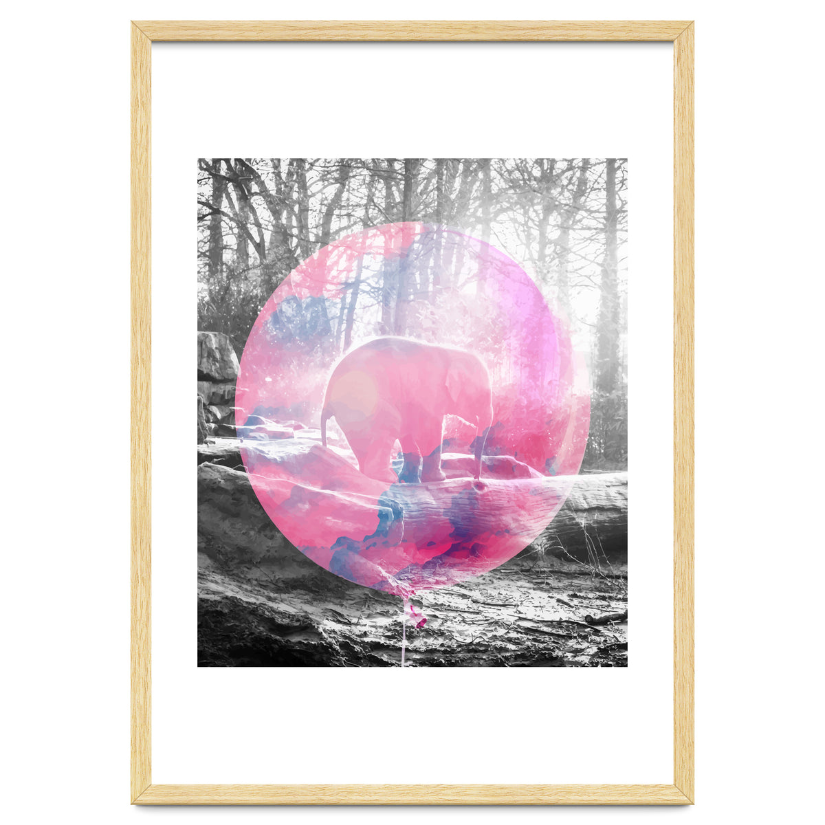 Baby Elephant In A Balloon