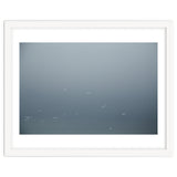 Flying Segulls in thet winter sky thumbnail