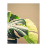 Dark And Light (Print Only) thumbnail
