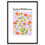 English Wildflowers | Scarlet Pimpernel thumbnail