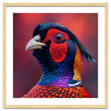 Close Up Pheasant Bird Head Detailed Feathers thumbnail