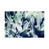 Cactus Garden (Print Only) thumbnail