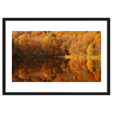Autumn Reflections thumbnail
