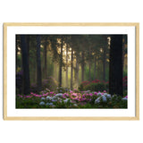 Rhododendron forest thumbnail