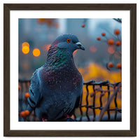 Pigeon With Water Droplets