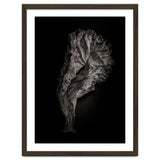 Leaves No 9 thumbnail