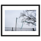 Net caught in a tree thumbnail
