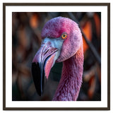 Close Up Of A Pink Flamingo Bird Face thumbnail