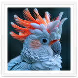 Cockatoo Bird With Orange Crest Portrait thumbnail