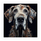 Old Dog 04 (Print Only) thumbnail