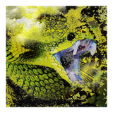Green Viper Reptile (Print Only) thumbnail