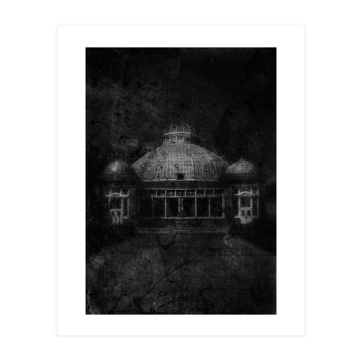 Allan Gardens Conservatory Palm House No 3 Old Film Version (Print Only)