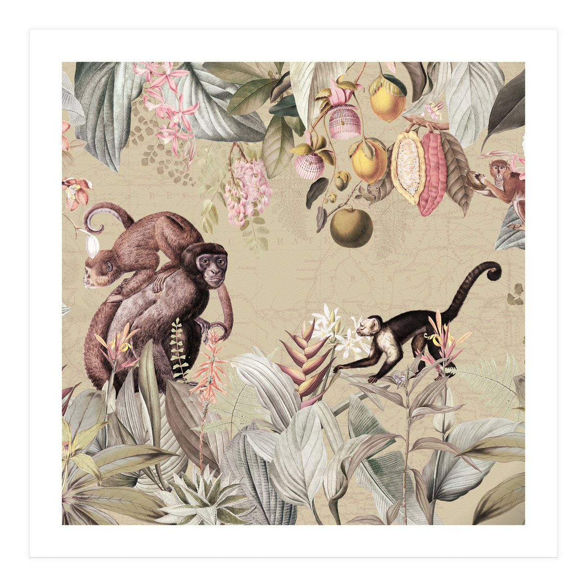 Vintage Exotic Monkeys In African Jungle Landscape (Print Only)