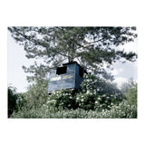 Blue hut on the tree (Print Only) thumbnail
