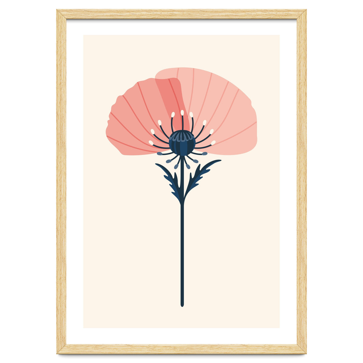 Pink Half Poppy