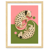 Yin And Yang Dalmatians thumbnail