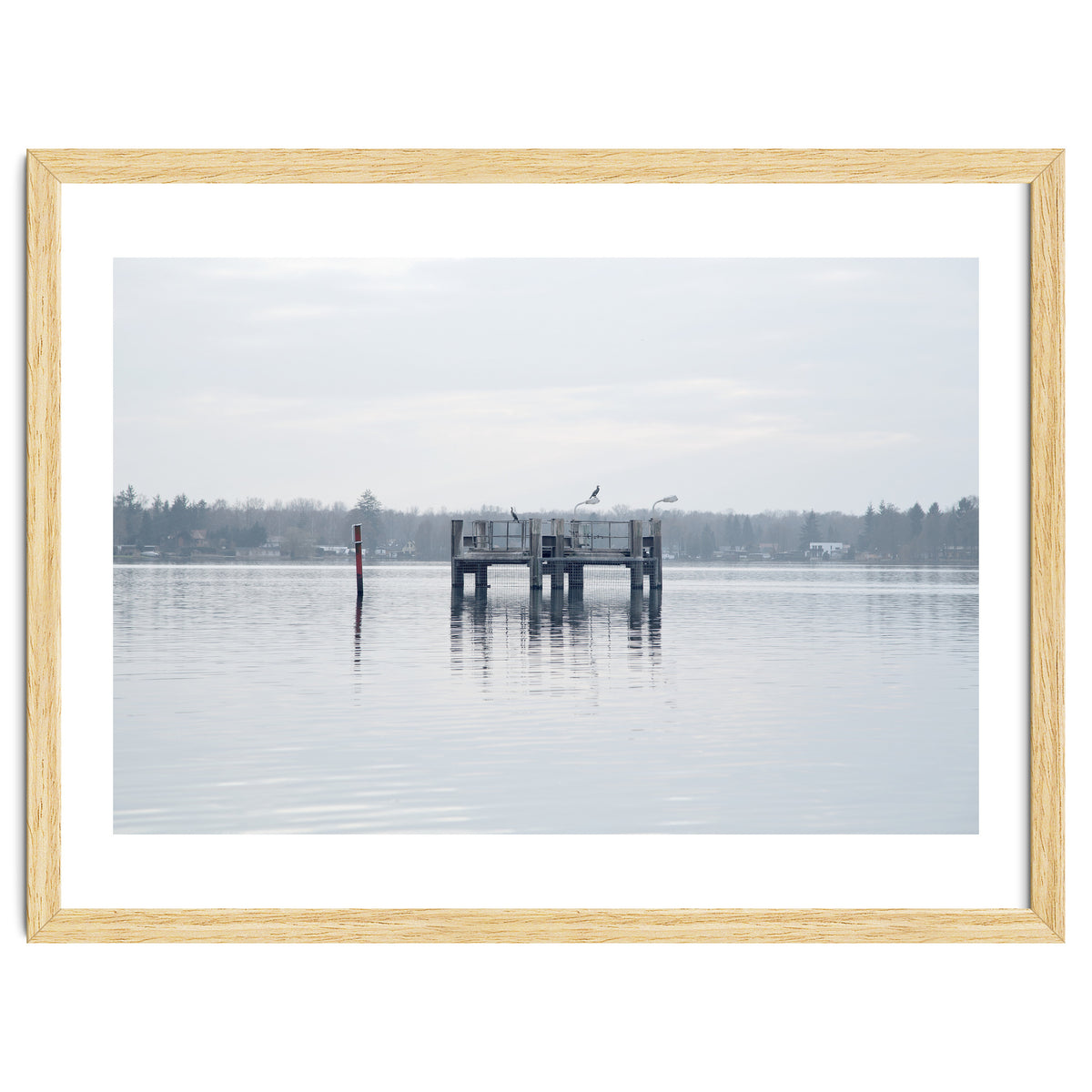 Birds rest in the Lake