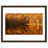 Autumn Reflections thumbnail