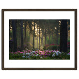 Rhododendron forest thumbnail