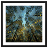 Enchanted Night Forest with Glowing Fireflies thumbnail