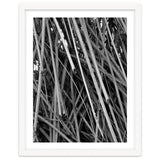 Black Tectorius Plant Shoots Art thumbnail
