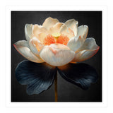 Lotus Cultivar | Midnight Skirt (Print Only) thumbnail