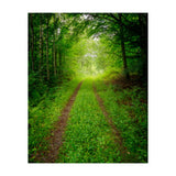 Green Forest Trail (Print Only) thumbnail