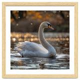 Graceful Swan Gliding On Reflective Water Surface thumbnail
