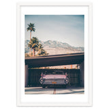 Palm Springs Pink thumbnail