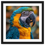 Blue And Yellow Macaw Parrot Close Up Portrait thumbnail
