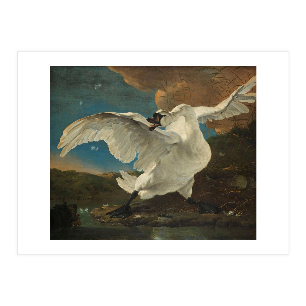 The Threatened Swan. The Threatened Swan; Interpreted later as an Allegory on Johan de Witt. Dati... (Print Only)