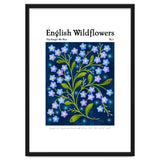English Wildflowers | Forget-Me-Not thumbnail