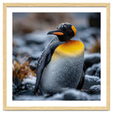 King Penguin In Snow With Water Droplets thumbnail