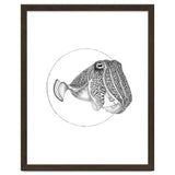 The Fascinating Cuttlefish thumbnail