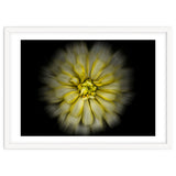 Backyard Flowers No 86 Color Flow Version thumbnail